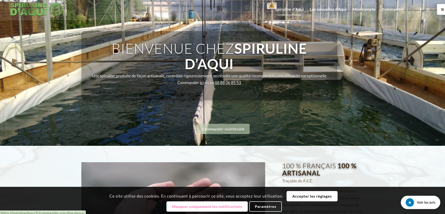 Capture d'écran de l'accueil du site Spiruline d'Aqui